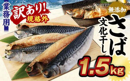【訳あり規格外】 業務用 無添加さば文化干し 1.5kg 鯖 さば 干物 魚