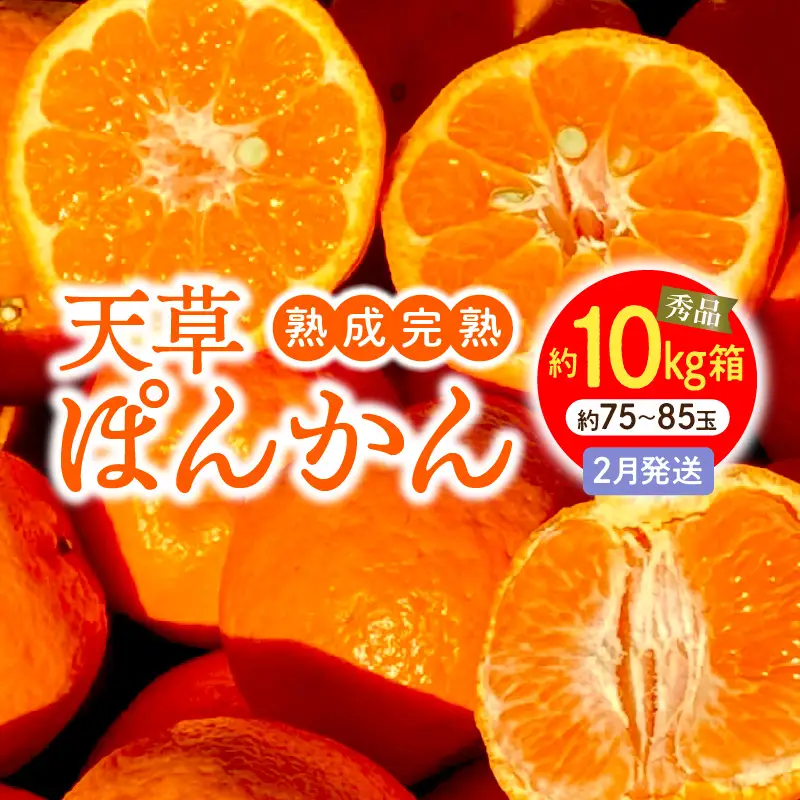 S117-011_香りを食す！熟成完熟天草ぽんかん 2月発送 約10kg箱 秀品〈先行受付〉