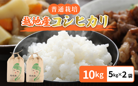 米 越地（こいち）産 コシヒカリ（普通栽培）令和5年産  計10kg（5kg × 2袋）[m24-a002]