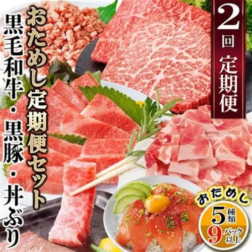 定期便2回配送　鹿児島県産黒毛和牛・黒豚・漬丼　お試し定期便セット DD-6007_肉 ハンバーグ 牛肉   肉 焼肉 牛肉 やきにく ヤキニク バーベキュー  肉 しゃぶしゃぶ 豚肉 豚しゃぶ  肉 ハンバーグ 豚肉   魚介・海産物 カツオ 鮮魚 かつお 鰹  魚介・海産物 マグロ 鮮魚 まぐろ 鮪  定期便 定期便  _【配送不可地域：離島】【1486099】