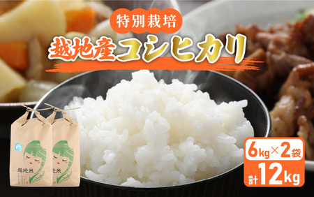 米 越地（こいち）産 特別栽培 コシヒカリ 令和5年産 計12kg（6kg × 2袋）[m24-b001]
