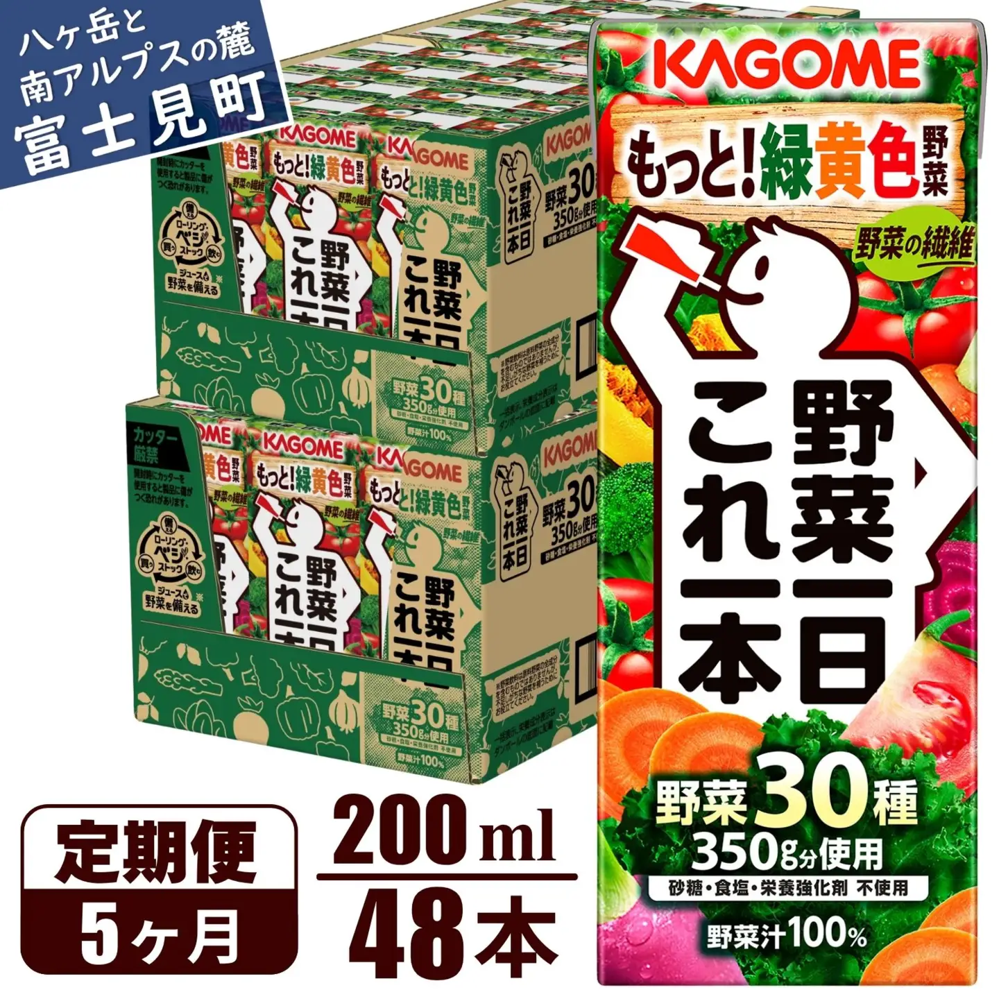 【 定期便5ヶ月連続お届け 】 カゴメ野菜一日これ一本 200ml×48本 飲料 野菜ジュース 紙パック