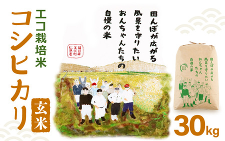 【先行予約】【令和7年産・新米】コシヒカリ（玄米）エコ栽培米 30kg（30kg×1袋）【2025年9月中旬以降順次発送予定】【福井県産 お米 ブランド米 玄米 精米 ご飯 おにぎり お弁当 和食】 [m26-d002]