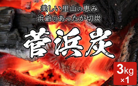 菅浜炭（木炭） 3kg【炭 すみ 高品質 木炭 野外 キャンプ バーベキュー レジャー アウトドア BBQ 燃料 少煙 消臭 脱臭 火鉢 囲炉裏 七輪 炭火焼き 炭焼き 焼肉 川遊び 行楽 安全 安心 国産】 [m31-a001]