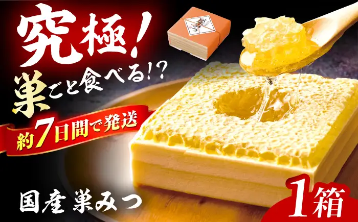 はちみつ 国産 巣みつ 300g ｜ハチミツ [AFAI004] 蜂蜜