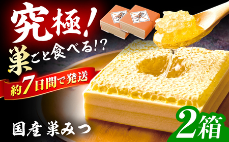 国産巣みつ 600g(300g×2個) / ハチミツ 蜂蜜 ハチミツ[AFAI005]