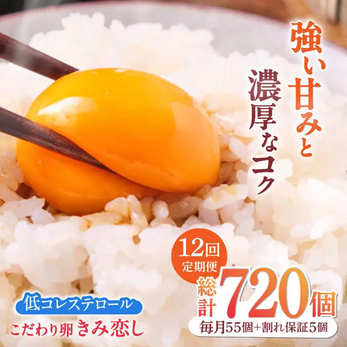 【12回定期便】きみ恋し 箱入り 60個（55個+割れ保証5個）×12ヶ月　総計720個  [AFAJ011]