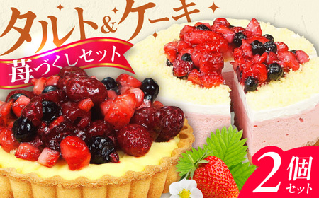 ケーキ・タルトセット（苺のムースケーキ・ベリーベリータルト） / スイーツ[AFAK152]