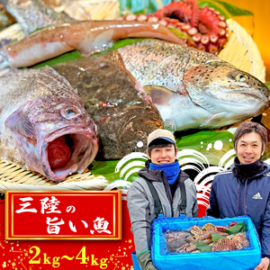 【産地直送】 三陸の旨い魚！季節の鮮魚便 2kg?3kg 《下処理なし》 おまかせ さかな おさかな 魚 鮮魚 新鮮 生魚 焼き魚 FISH ごはん 夕飯 おかず おつまみ 晩酌 米 丼 海産物 海鮮 魚介 魚介類 大船渡 三陸 岩手県 国産
