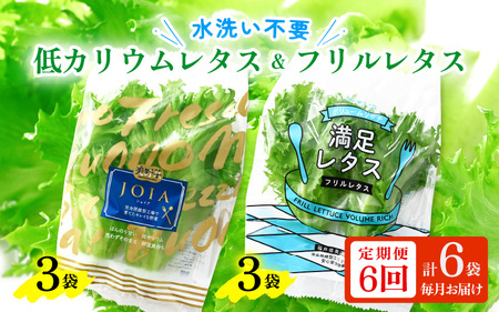 定期便 ≪6ヶ月連続お届け≫ 低カリウムレタス&フリルレタス　計6個セット 全6回 【福井県美浜町産】【野菜 生野菜 レタス サラダ サンドイッチ お弁当 水耕栽培 洗わず食べられる 時短 付け合わせ ダイエット ヘルシー】レタス フリルレタス 野菜 サラダ ダイエット ヘルシー [m40-c001]