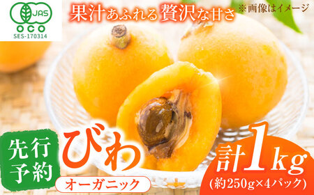 【★先行予約★ 2027年4月末発送開始】びわ 約250g(3-7個)×4パック / びわ [AFAB002]