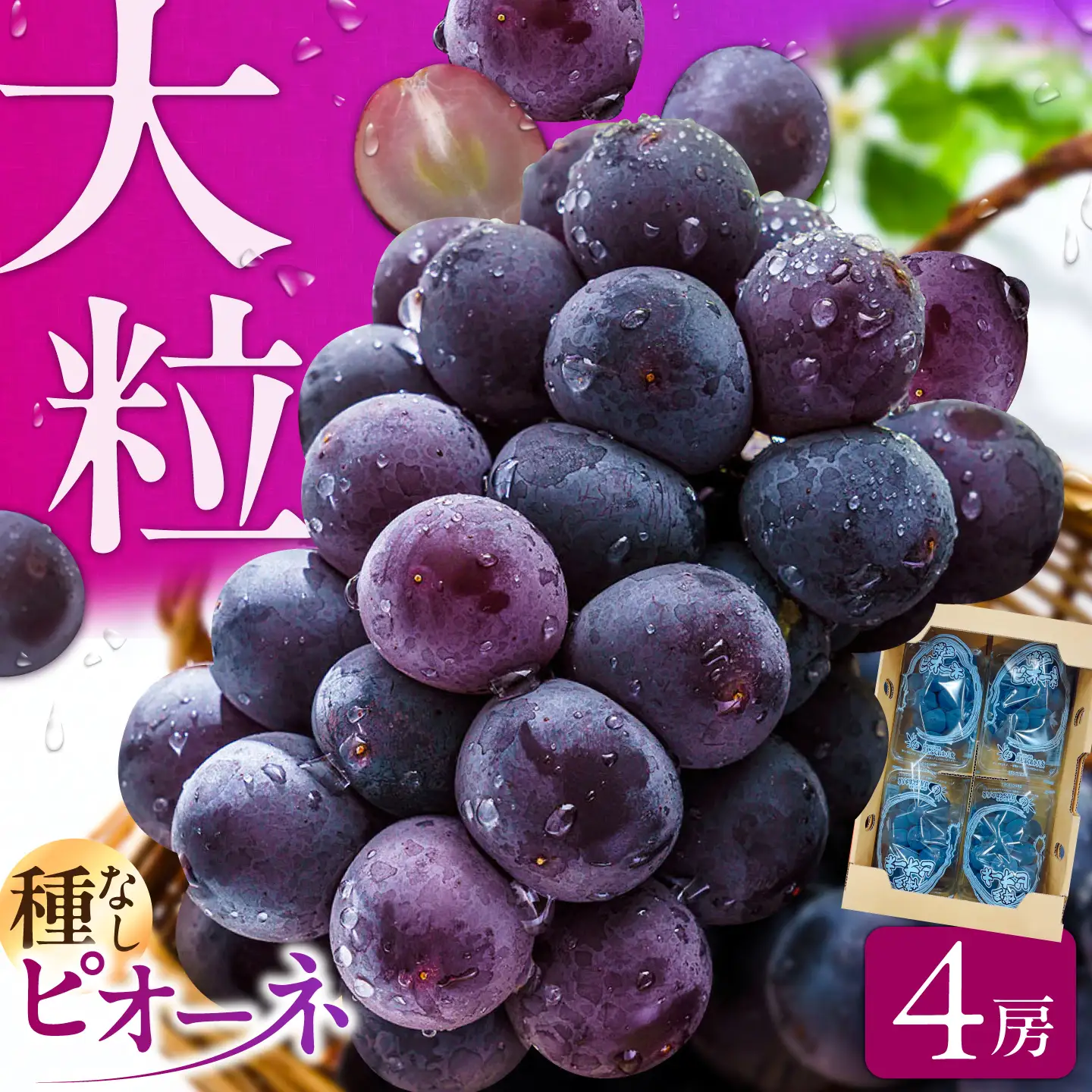 ぶどう 1.4kg ピオーネ 先行予約 2026年7月中旬より発送 | ピオーネ [AFAB047]