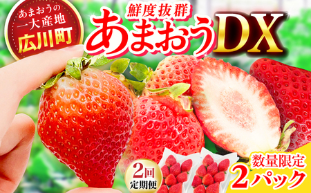 二回定期便 あまおう 270g×2【2月先行予約】[AFAB018] いちご