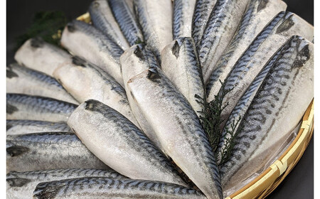 プロ食材 サバフィーレ 5kg 無塩 無塩鯖 さば サバ 鯖フィーレ 焼魚 煮魚 揚げ 料理 さかな
