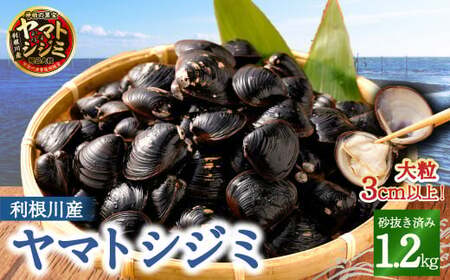 BN-5 神栖の黒宝　漁業者からお届け！利根川産 ヤマトシジミ 1.2kg 貝 しじみ シジミ 蜆 砂抜き