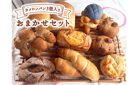 カメロンパン3個入り おまかせパン セット【食パンなし・あこ酵母食パン入・薬膳食パン入】  【あこ酵母食パン入り】