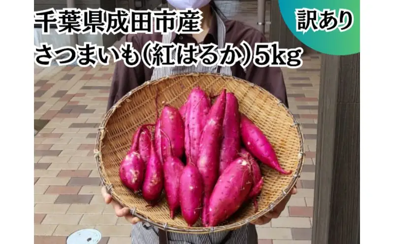 さつまいも 紅はるか 成田市産 焼き芋 さつまいも