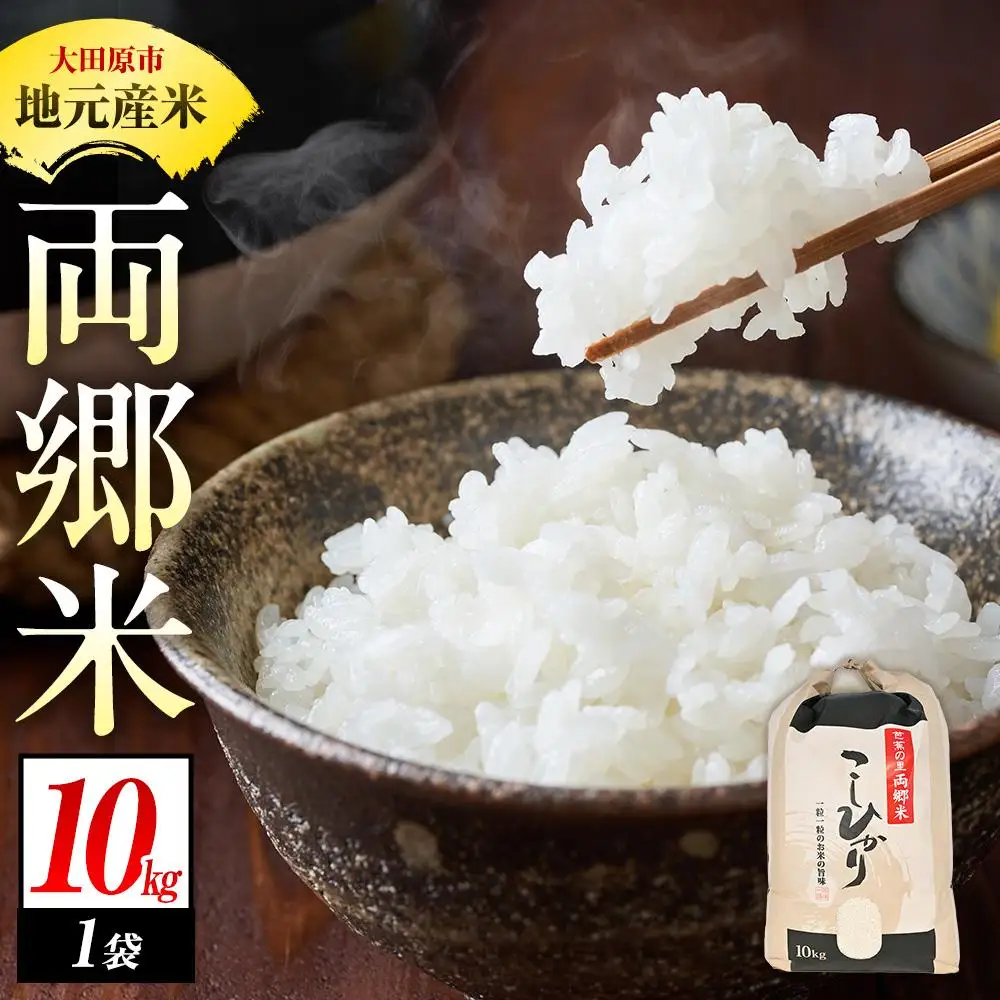 地元産 両郷米 10Kg ×1袋 ｜  お米 コシヒカリ こしひかり 栃木県 大田原市