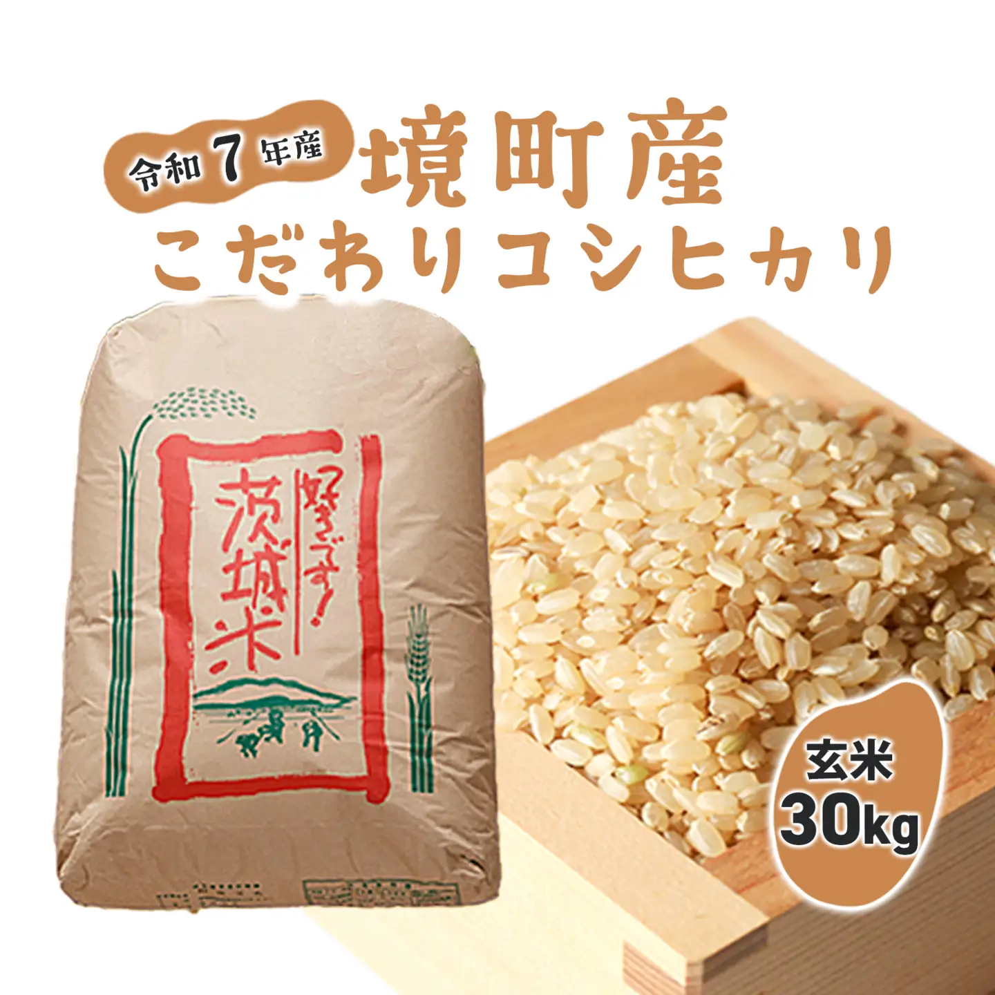 米 玄米 コシヒカリ 30kg 国産 米 令和7年産 S253