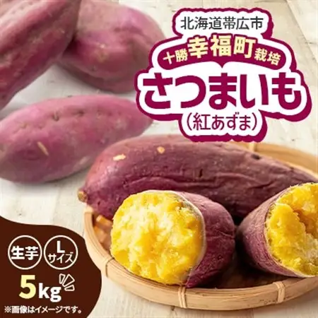 【先行受付】直送!十勝「幸福」さつまいも(紅あずま)Lサイズ5kg_野菜 さつまいも いも サツマイモ 薩摩芋_【1490879】