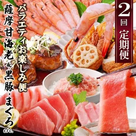 定期便2回配送　お楽しみバラエティ定期便(鹿児島県産黒豚・鮪etc) DD-6008_肉 ハンバーグ 牛肉   魚介・海産物 かまぼこ・練り製品  カマボコ 練物 練り物 ねりもの  肉  豚肉   肉 ハンバーグ 豚肉   魚介・海産物 カツオ 鮮魚 かつお 鰹  魚介・海産物 マグロ 鮮魚 まぐろ 鮪  定期便 定期便  _【配送不可地域：離島】【1486572】