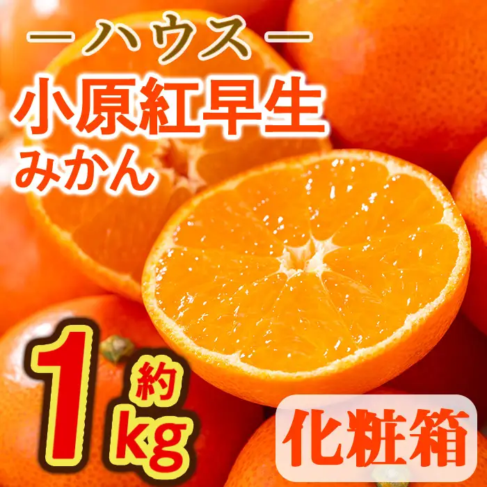 ＜先行予約！2027年6月下旬以降順次発送予定＞香川県産 ハウス小原紅早生みかん(約1kg/化粧箱) ミカン フルーツ 果物 柑橘 人気 【man072】【Aglio nero】
