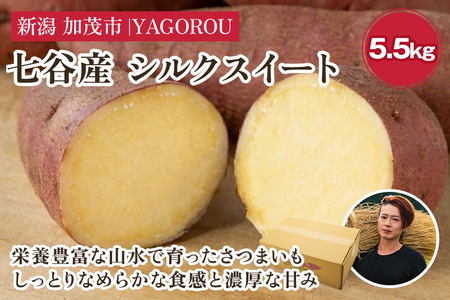 【七谷産】シルクスイート 5.5kg（M～LLサイズ）さつまいも《順次発送》人気品種 しっとり食感と濃厚な甘み 低温熟成 蒸し芋や焼き芋、スイートポテトなどのスイーツに 加茂市 YAGOROU ヤゴロウ さつまいも さつまいも さつまいも さつまいも