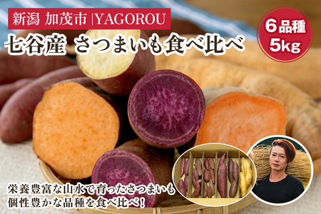 【七谷産】6種食べ比べセット5kg（M~LLサイズ）さつまいも《順次発送》人気品種 食べ比べ 濃厚な甘み 低温熟成 蒸し芋や焼き芋、スイートポテトなどのスイーツに 加茂市 YAGOROU ヤゴロウ さつまいも さつまいも さつまいも さつまいも