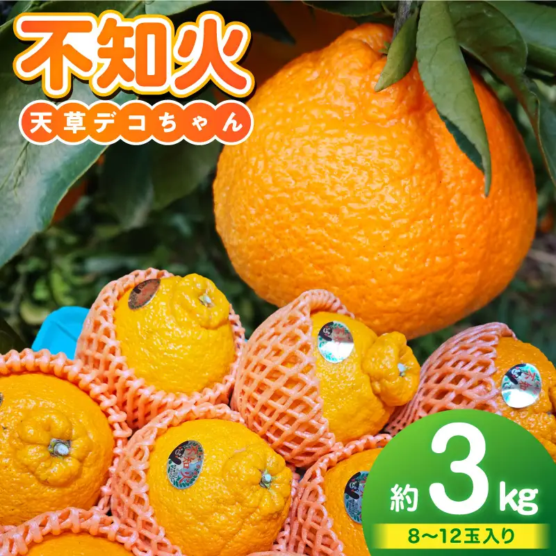 S153-001_天草産 不知火 約3kg