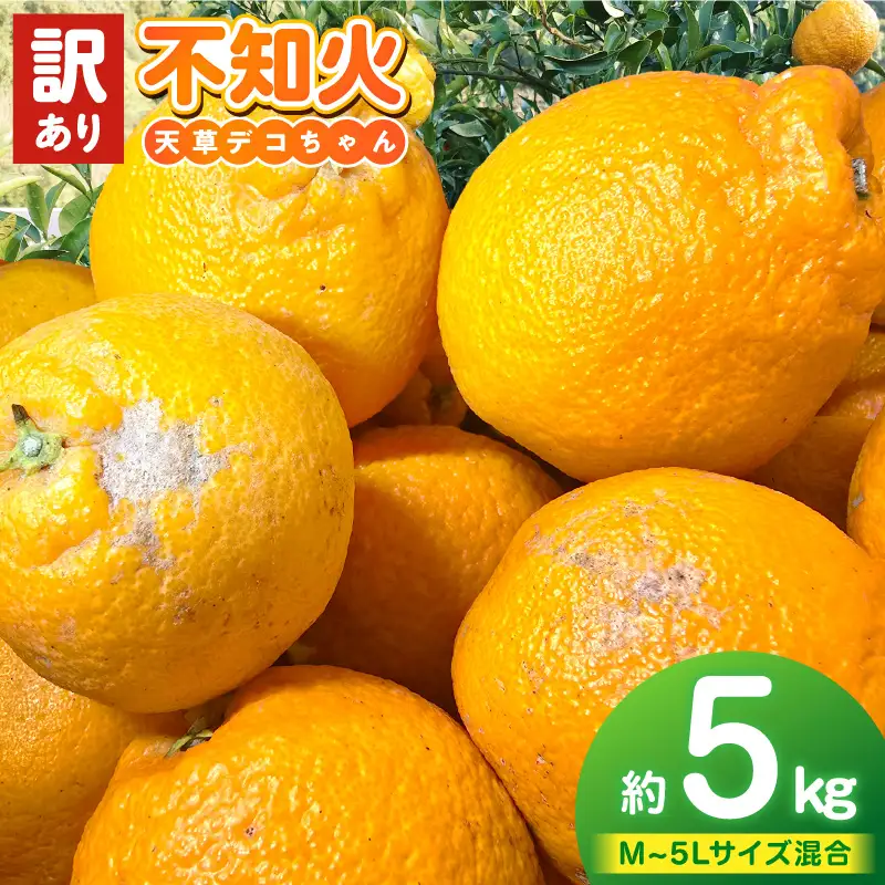 S153-002_天草産 訳あり 不知火 約5kg