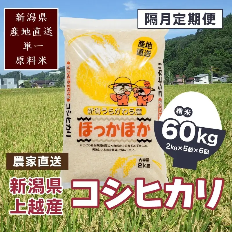 【隔月定期便6回】極上の雪国米 コシヒカリ 精米10kg 浦川原産 コシヒカリ