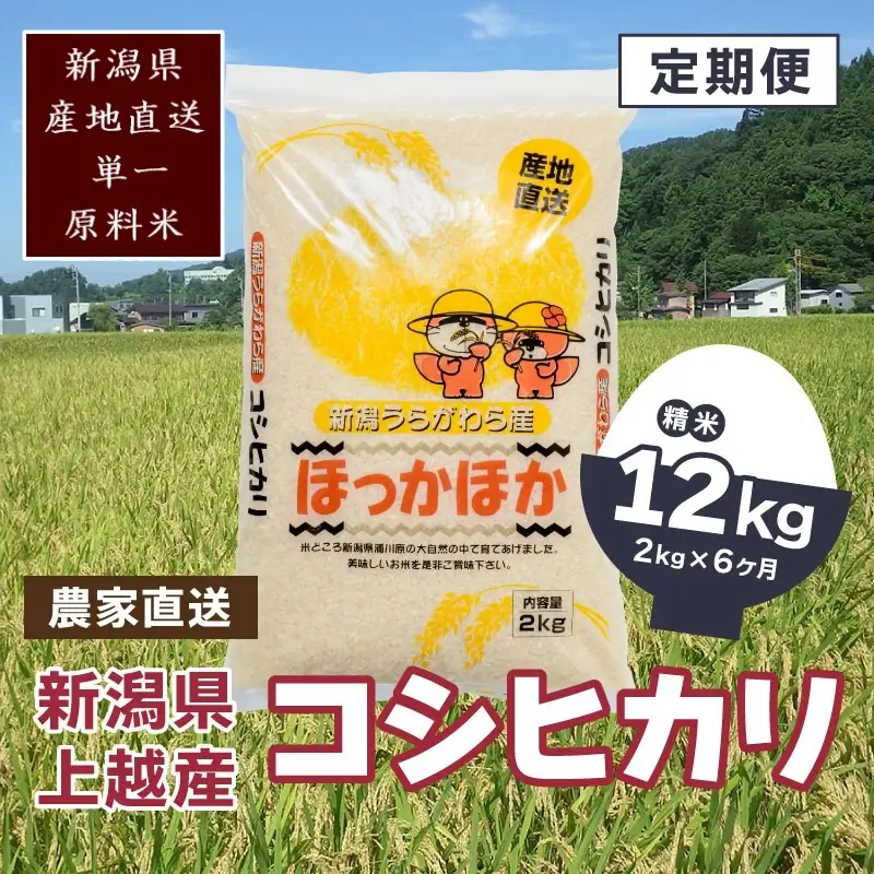 【定期便6回】極上の雪国米 コシヒカリ 精米2kg 上越市浦川原産 コシヒカリ