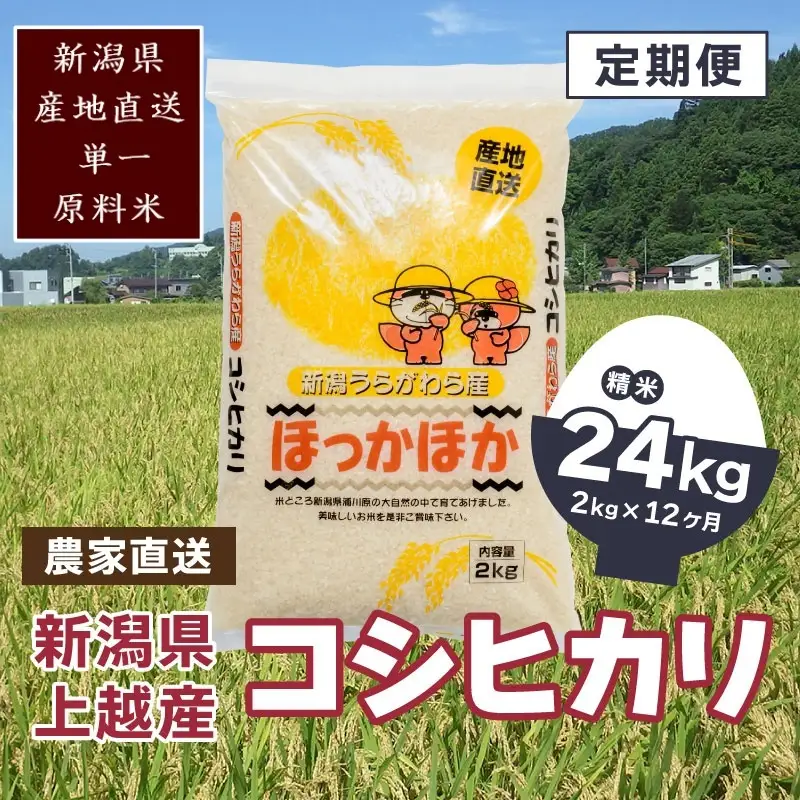 【定期便12回】極上の雪国米 コシヒカリ 精米2kg 上越市浦川原産 コシヒカリ