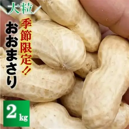 【先行予約】2026年8月下旬より順次発送【訳あり】安西農園の大粒生落花生「おおまさり」 2kg【配送不可地域：離島】【1486585】