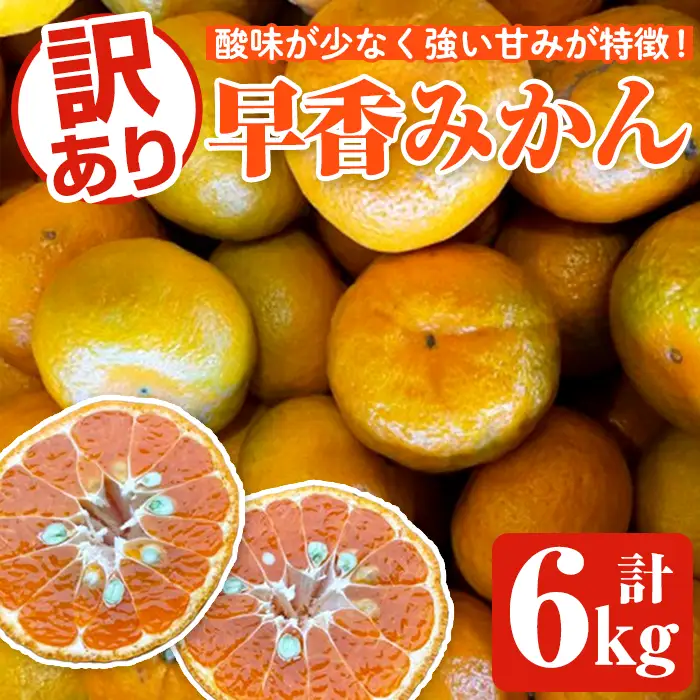 ＜先行予約受付中！2026年12月中旬以降順次発送予定＞訳あり早香みかん(計6kg) 国産 フルーツ 果物 蜜柑 柑橘 みかん 訳あり【松永青果】akn053-39