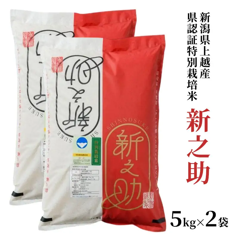 【令和6年産】新之助 上越産ブランド米 精米10kg(5kg×2) 新之助