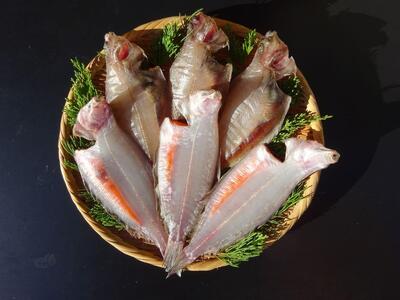 子持ちやなぎがれい寒風干し　500ｇ（4～6枚） | カレイ 干物 常磐産 食品 人気 おすすめ 送料無料