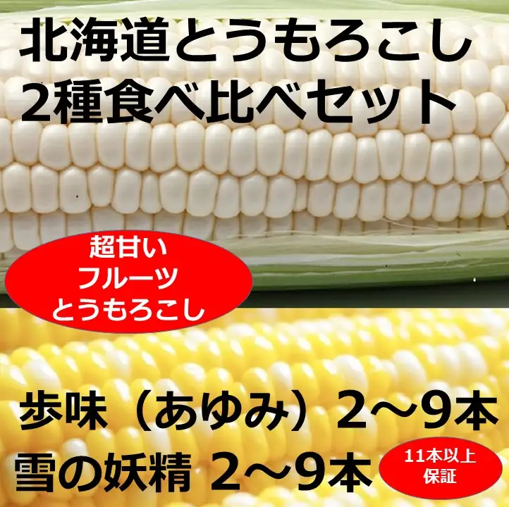 訳あり 北海道 とうもろこし 2種類 合計11～12本 食べ比べセット 雪の妖精（ホワイトコーン）2～9本、あゆみ（歩味、バイカラー）2～9本 期間限定 数量限定 トウモロコシ