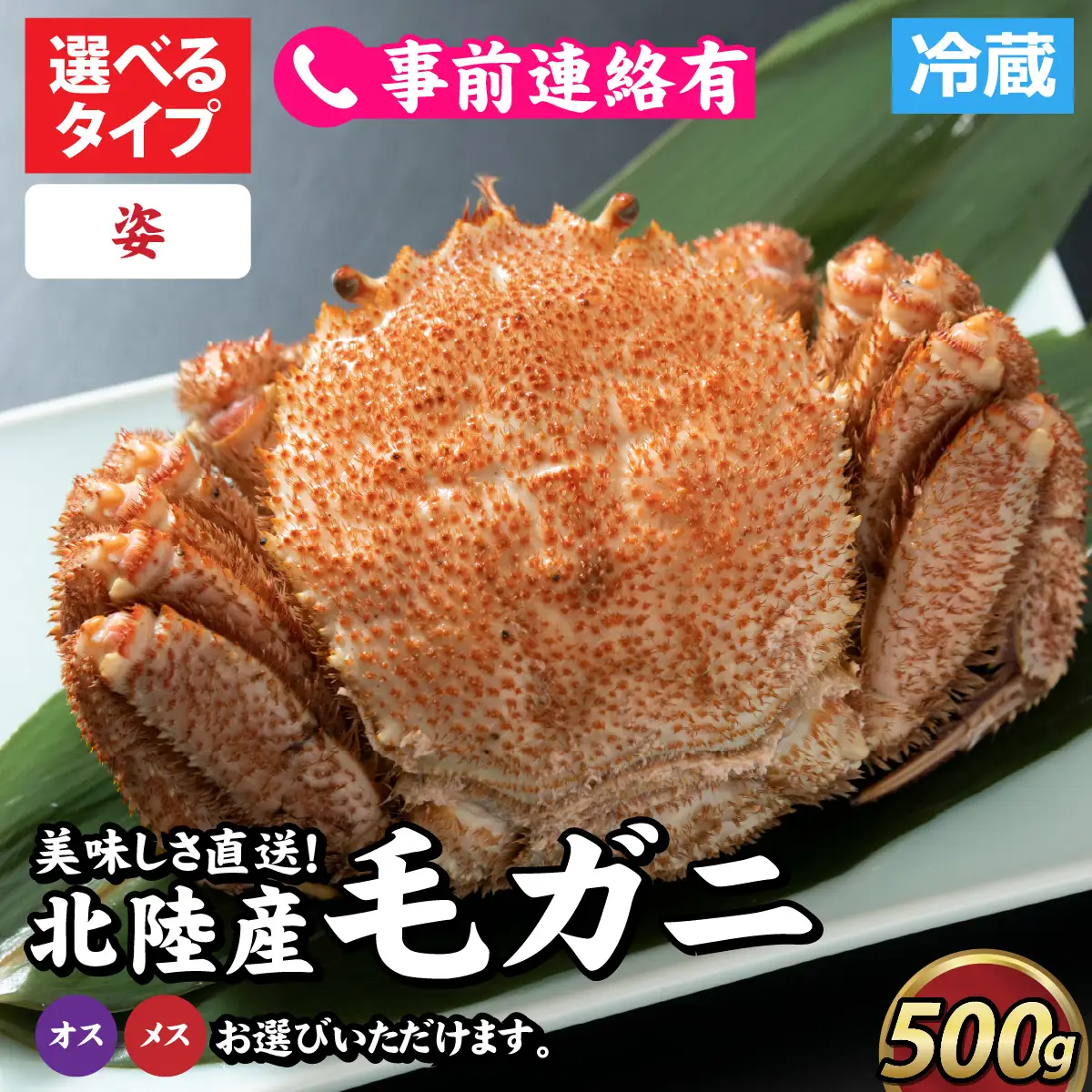 【姿】【成前特選】美味しさ直送！北陸産 毛ガニ 500ｇ前後×1杯（オス、メス） [B-028006_01] / 毛ガニ