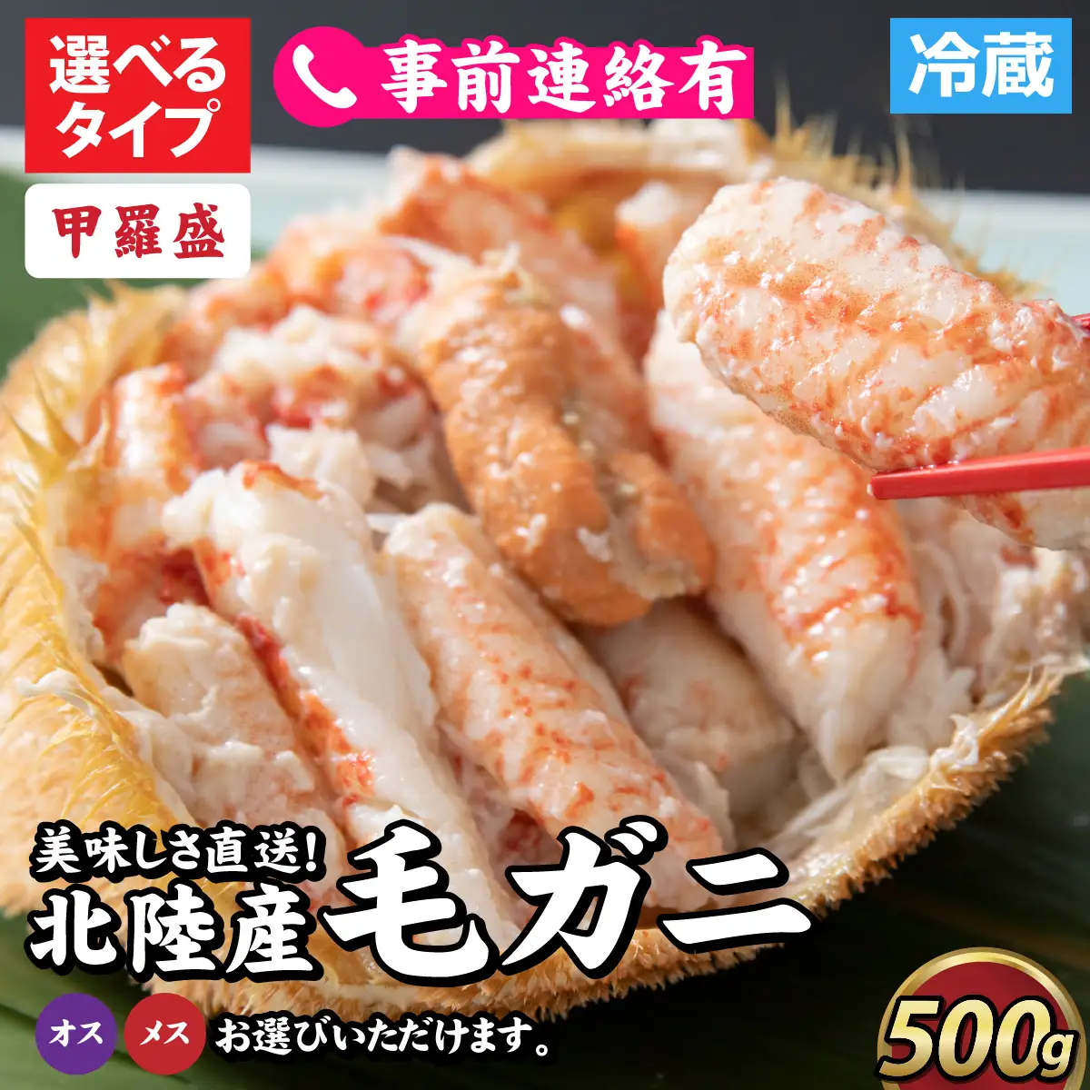 【甲羅盛】【成前特選】美味しさ直送！北陸産 毛ガニ 500ｇ前後×1杯（オス、メス） [B-028006_02] / 毛ガニ