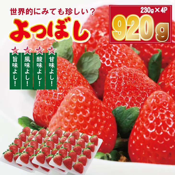 【先行予約】R9年1月中旬頃出荷開始 いちご「よつぼし」230g×4パック B130-057 いちご 果物 B130-057