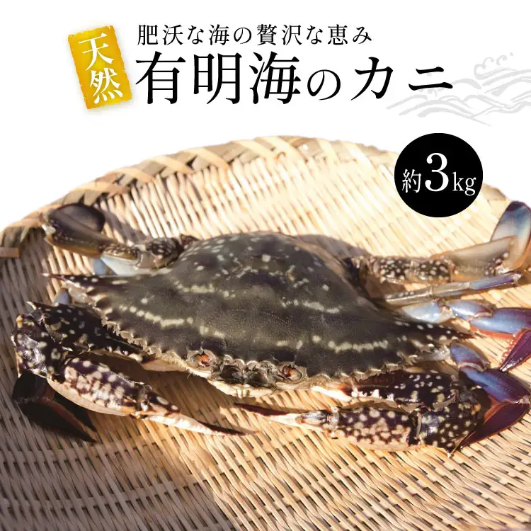 BA061 天然の好漁場・肥沃な海の贅沢な恵み 有明海のカニ