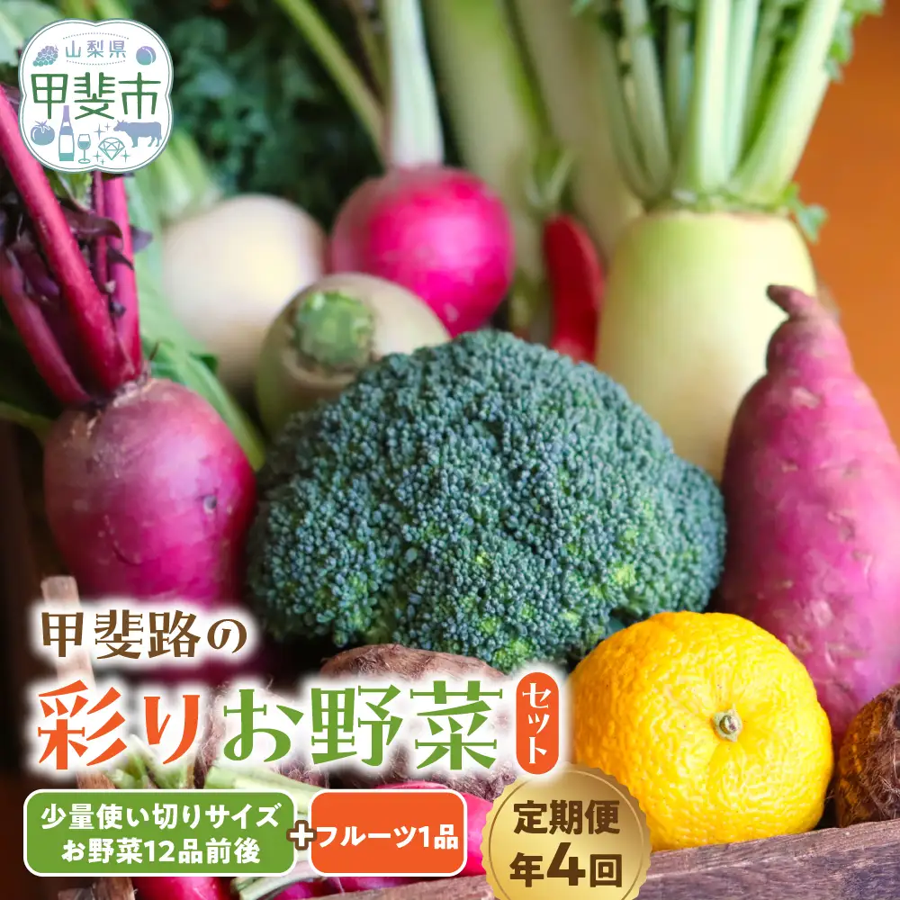 【定期便・年4回】旬のお野菜を少しずつたくさん！甲斐路の彩りお野菜セット