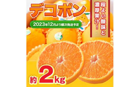＜ R8年熊本地震復興支援 ＞デコポン 約2kg 【2026年12月上旬～2027年4月下旬発送予定】