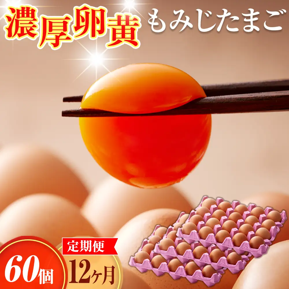 濃厚卵黄もみじたまご【60個入り】【12ヶ月連続】定期便 [No.939]