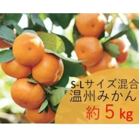 温州みかん　約5kg　S-Lサイズ混合　まつもと農園和歌山県産みかん_果物・フルーツ みかん  ミカン 蜜柑_【1489599】