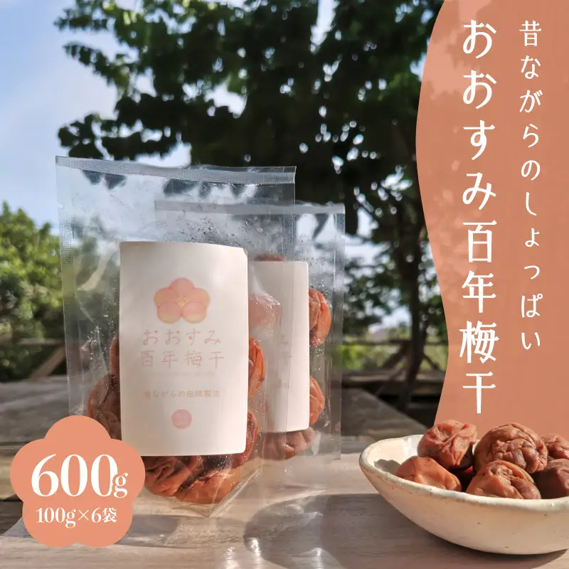 2404 昔ながらの しょっぱい おおすみ 百年 梅干 600g （ 100g×6袋 ） 塩分20% 小分け KN093-001-02 