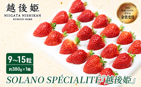 いちご 越後姫 SOLANO SPECIALITE【2027年2月下旬～5月末お届け】9～15粒 苺 イチゴ 果物類 果物 フルーツ 新潟市