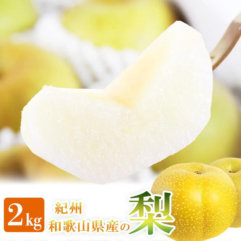 梨 約2kg 化粧箱入 紀州和歌山 かつらぎ産［2026年8月中旬以降発送予定］［UT103］