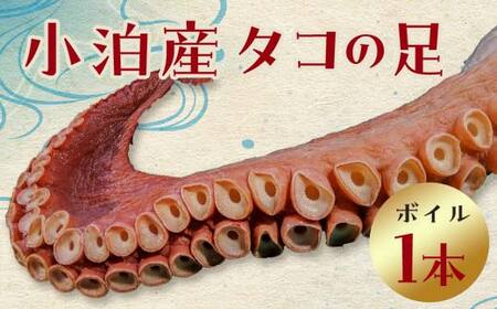 小泊産 タコの足 （ボイル）1本 【徐福の里物産品直売所】 F6N-024